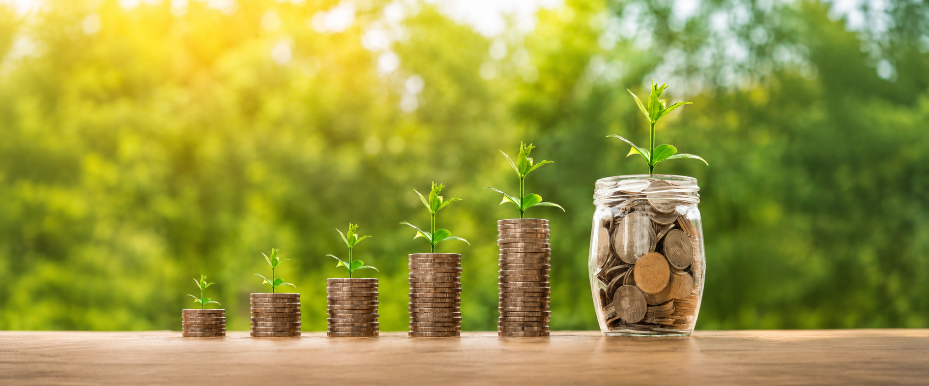 Coins with sprouting plants, representing steady growth